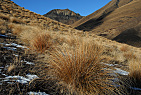 New Zealand - South Island / Mountains and Plains near Lindis Pass